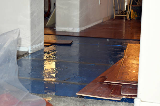 Professional Water Damage Restoration technician working in La Ward, TX